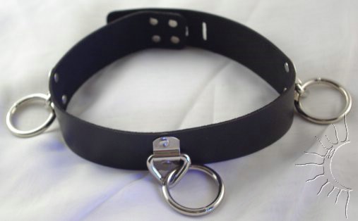 Thick Locking Collar with Three Loop and Rings Thick Locking Collar with Three Loop and Rings